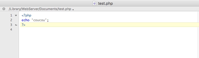 Mon premier fichier en PHP