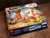 LEGO Harry Potter - La Forêt Interdite : la Rencontre d\'Ombrage - La boite