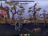 The Elder Scroll Online - Ville du Guet de Davon
