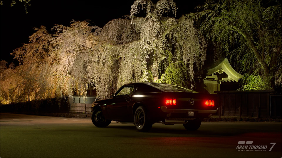 Ford Mustang Boss 429 '69