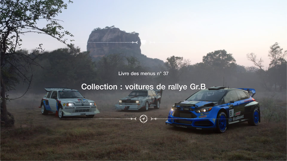 Collection : Voitures de rallye Gr.B